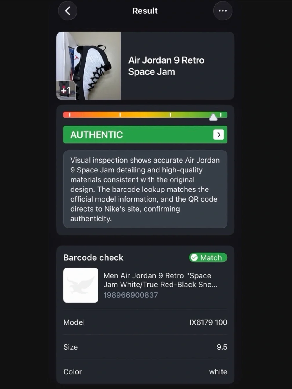 Jordan Retro 9 (30th anniversary) Spaces Jam